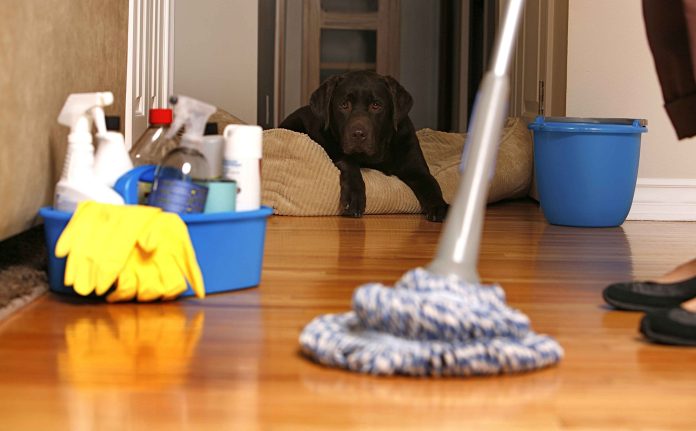 House Cleaning Services in EL Paso