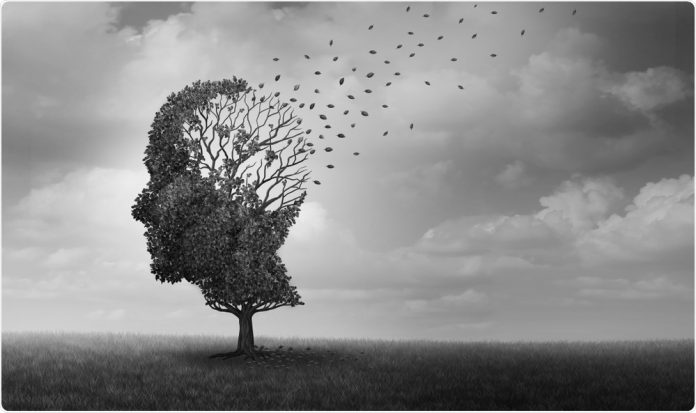 What Transpires in a Dementia Patient's Brain?