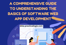 software web app development