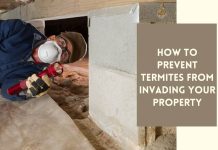 How to Prevent Termites from Invading Your Property