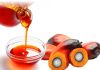 Palm Seed Oil Market