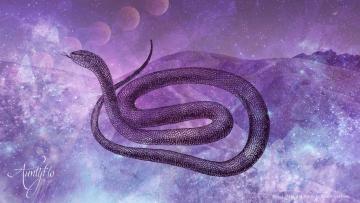Significance of Snake Dreams in Islamic Dream Interpretation: Exploring Symbolic Meanings