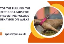 Stop the Pulling: The Best Dog Leads for Preventing Pulling Behavior on Walks