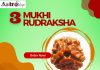 3 mukhi rudraksha benefits