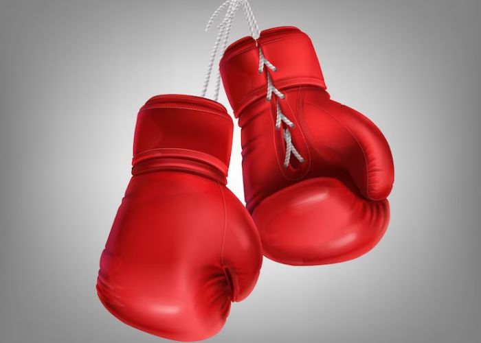 How To Choose The Right Boxing Gloves?