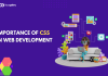 Importance of CSS in web development