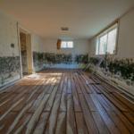 mold removal in basement