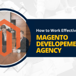 Work Effectively with a Magento Development Agency