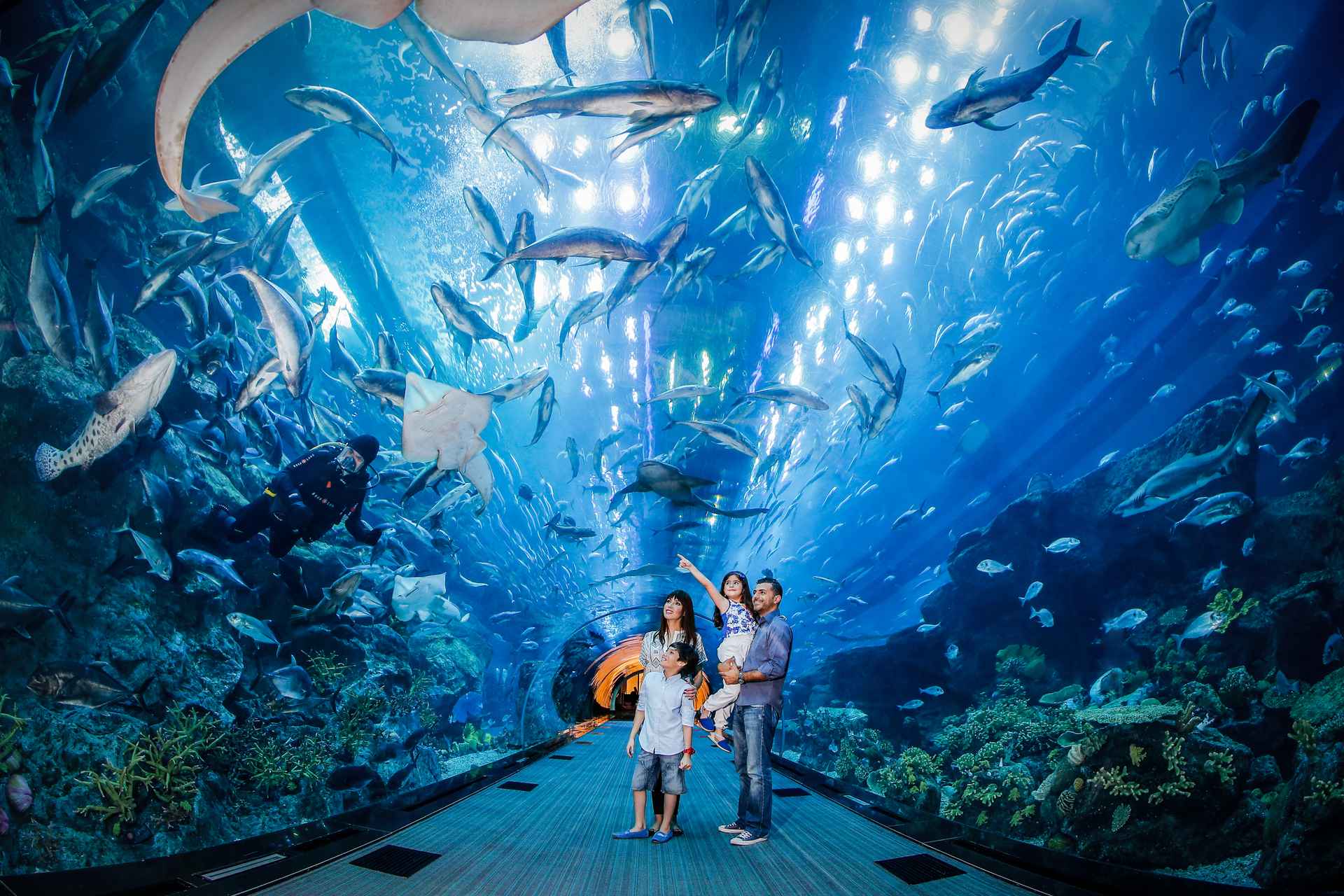 Burj Khalifa with Dubai Aquarium A Perfect Blend of Heights and Depths