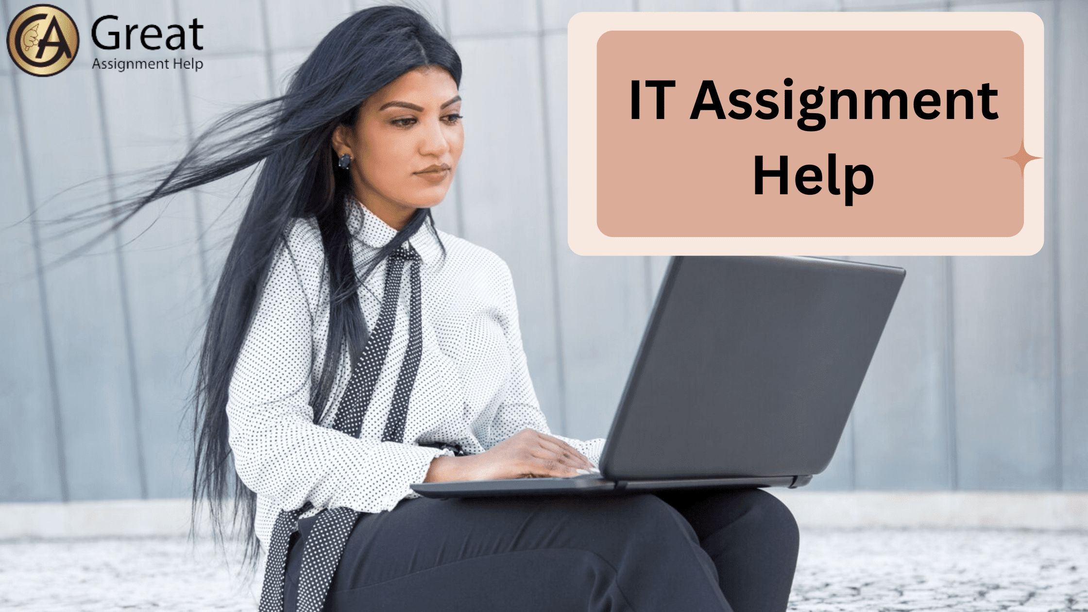 Unlock Success in Study of Information Technology with IT Assignment Help IT Assignment Help