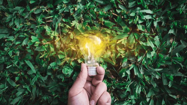 5 Ways to Leverage Sustainability as a Catalyst for Innovation