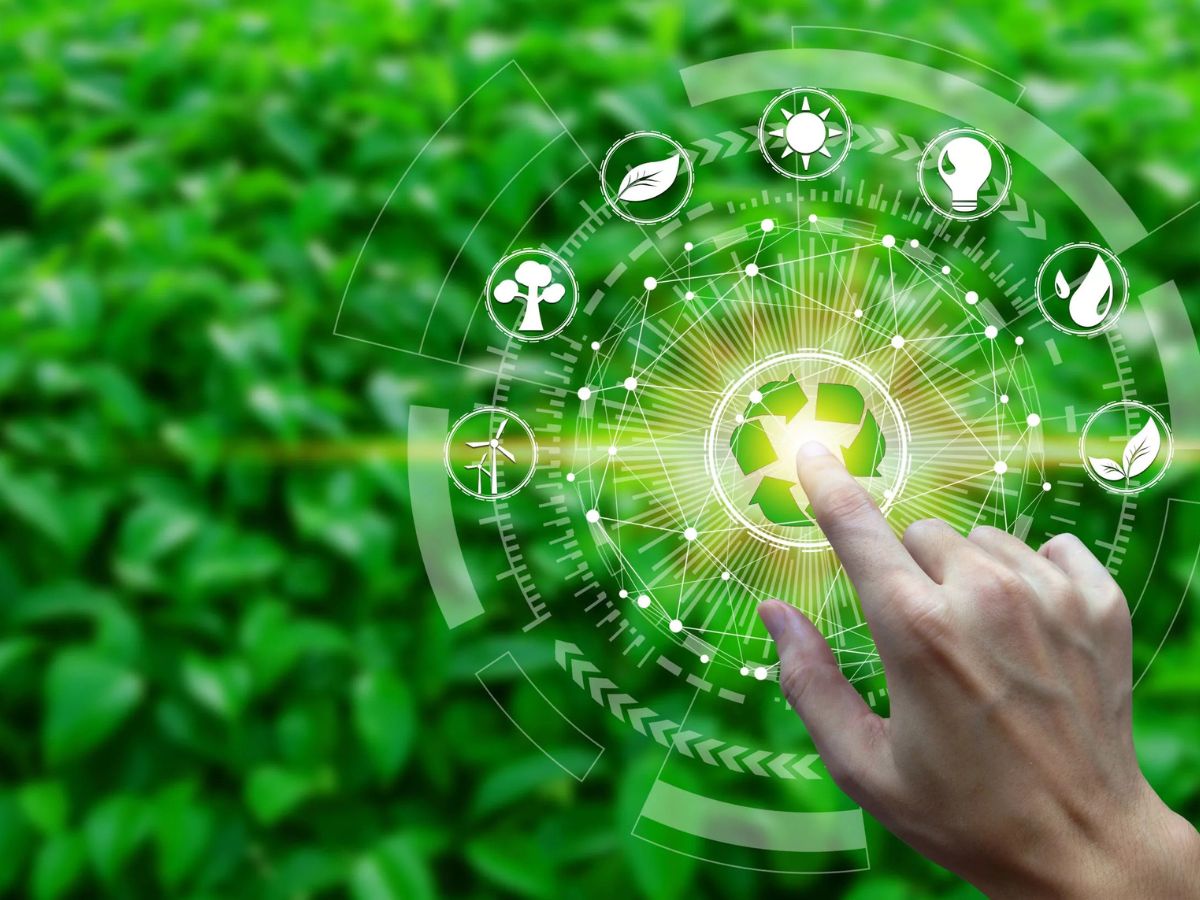 Sustainability Assessment Services in Brooklyn NY Unlocking the Future of Eco Friendly Businesses Sustainability Assessment Services in Brooklyn NY Unlocking the Future of Eco Friendly Businesses