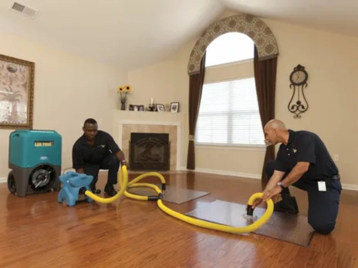 When the Waters Rise How Mold Assassins Leads Flood Damage Services in New York City NY When the Waters Rise How Mold Assassins Leads Flood Damage Services in New York City NY