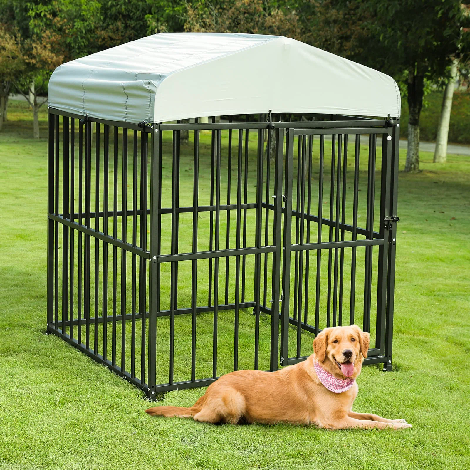 Dog Kennels in London Trusted Solution for Pet Care Dog kennels London