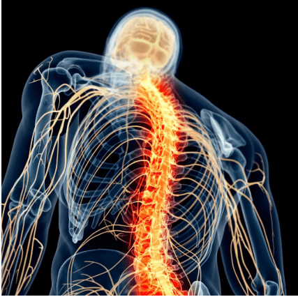 Desk Job Got Your Neck Stiff? Common Pains You Should Know Desk Job Got Your Neck Stiff? Common Pains You Should Know