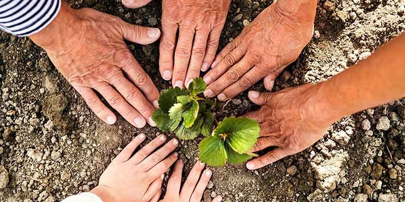 5 Key Traits of Individuals Who Create Lasting Community Impact