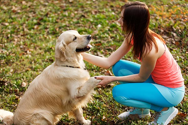 Choosing the Right Healthy Hound Playground and Grooming for Dogs Choosing the Right Healthy Hound Playground and Grooming for Dogs