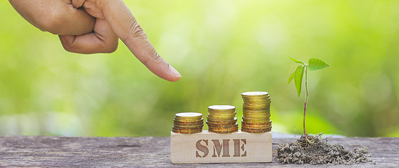 What Is the Real Difference Between an SME Loan and a Mudra Loan for New Businesses? SME Loan