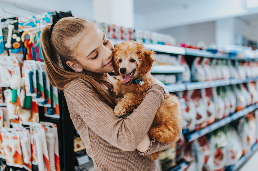 Seasonal Dog Supply Guide: Preparing Your Pup for Every Weather Seasonal Dog Supply Guide: Preparing Your Pup for Every Weather
