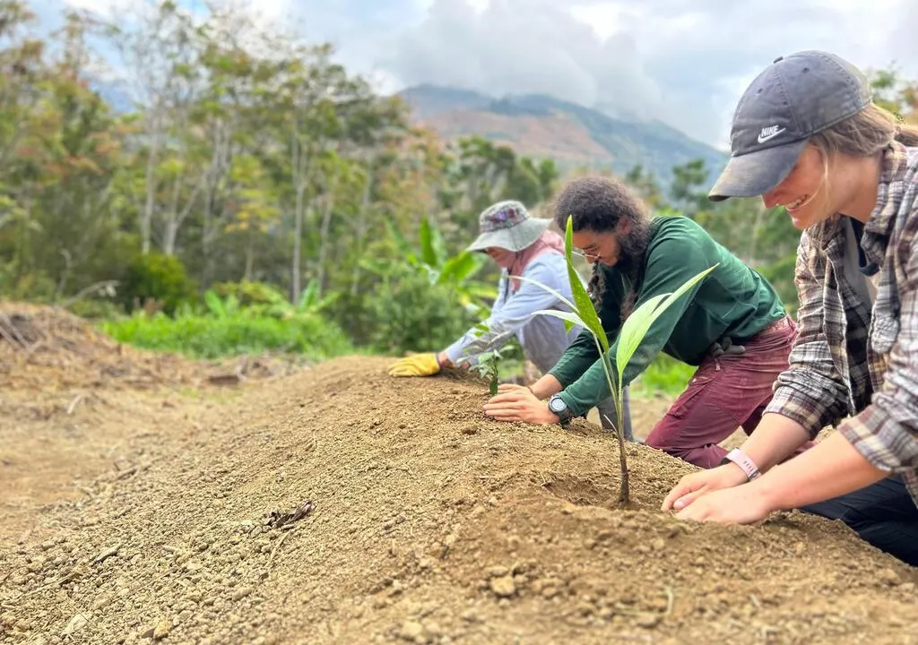 5 Ways Environmental Conservation Impacts Global Well-Being