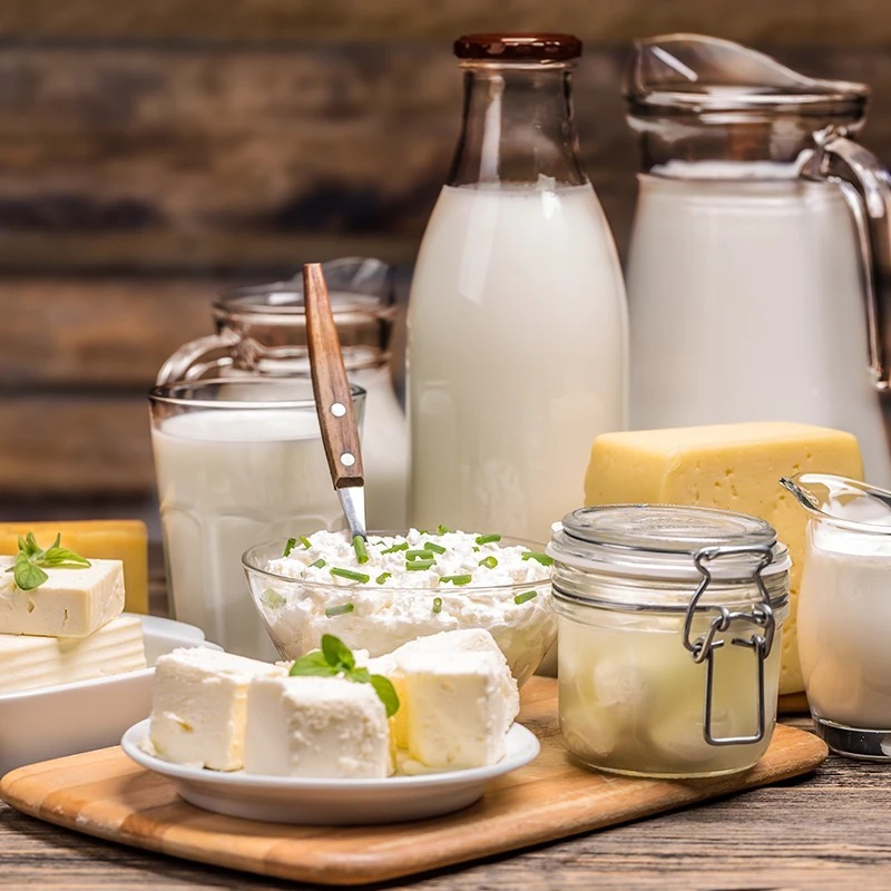 India Dairy Market Share and Research Report by 2026-2034 | Get Free Sample Report India Dairy Market Share and Research Report by 2026-2034 | Get Free Sample Report