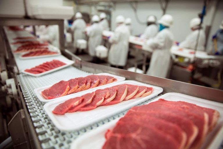 India Meat Processing Market Expands with Rising Protein Demand and Export Opportunities