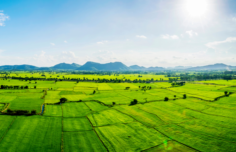 7 Things to Consider Before Buying Land in the Sooner State