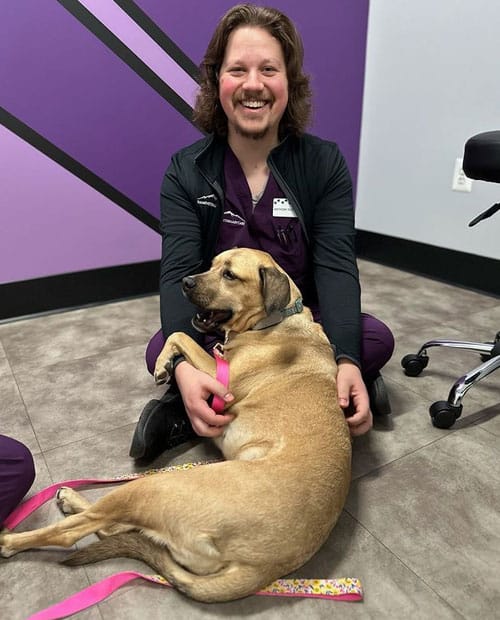 Advanced Vet Clinic Services for Modern Pet Healthcare Needs Vet Clinic Services