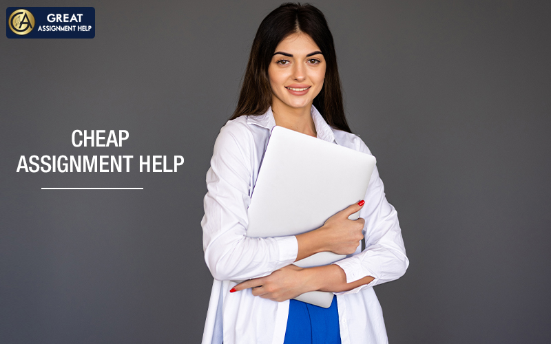 Assignment Help