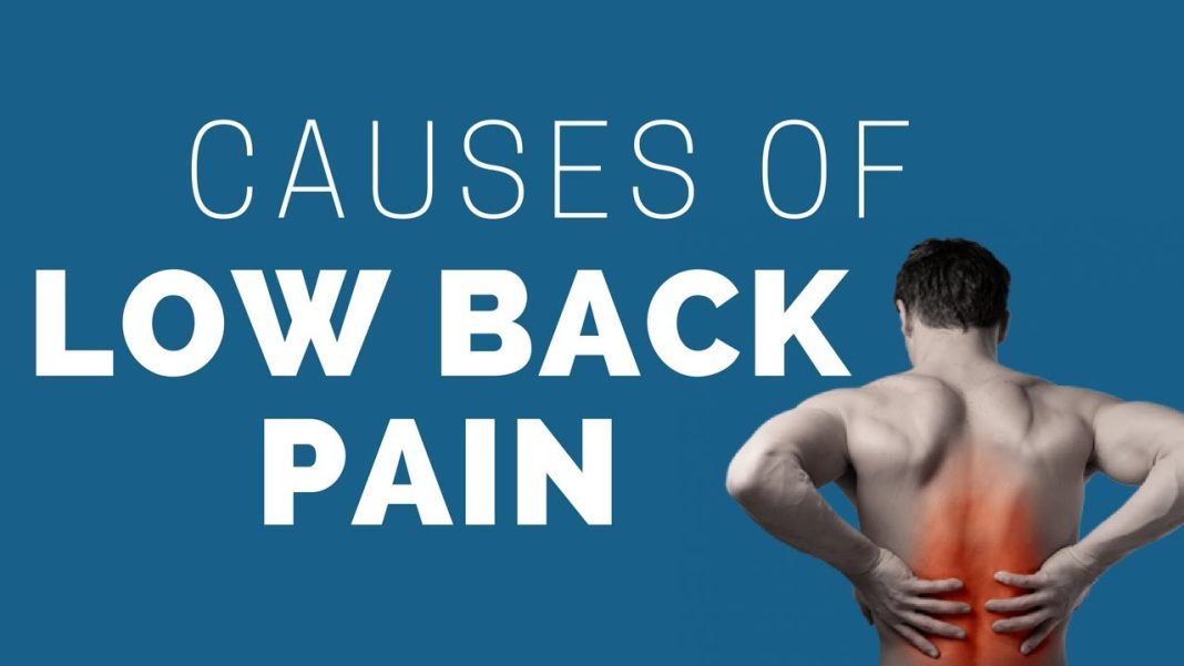 Sharp Pain in Lower Back When Standing – Causes, and Treatments Sharp Pain in Lower Back When Standing - Causes, and Treatments