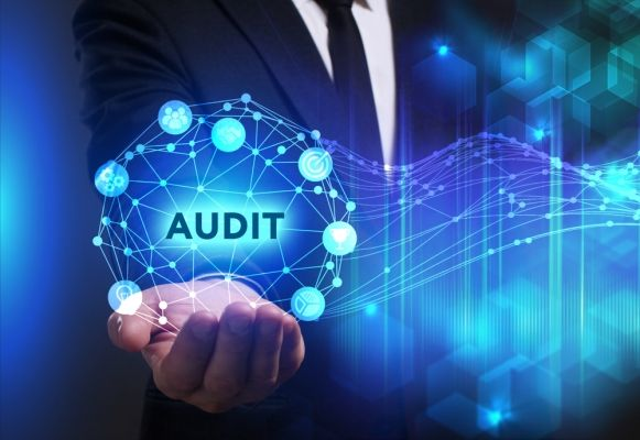 audit website