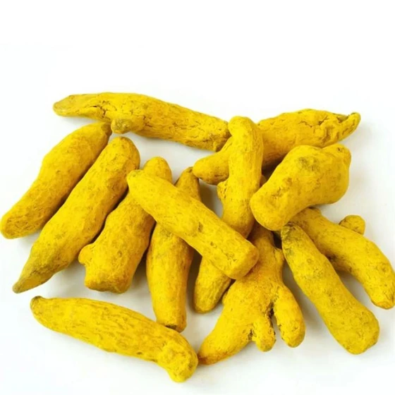 Turmeric Finger Suppliers in India: A Complete Guide to Bulk Sourcing, Manufacturers & Exporters Turmeric Finger Suppliers in India: A Complete Guide to Bulk Sourcing, Manufacturers & Exporters