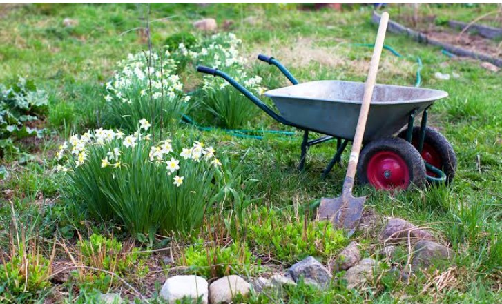 Luxe Landscaping Improves Outdoor Living With Professional Landscape Planning