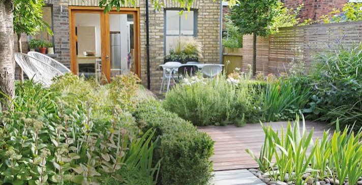 Transformed Landscaping Co.: Xeriscape in Austin Texas for Sustainable and Stylish Residential Gardens Modern Landscape Design in Austin TX