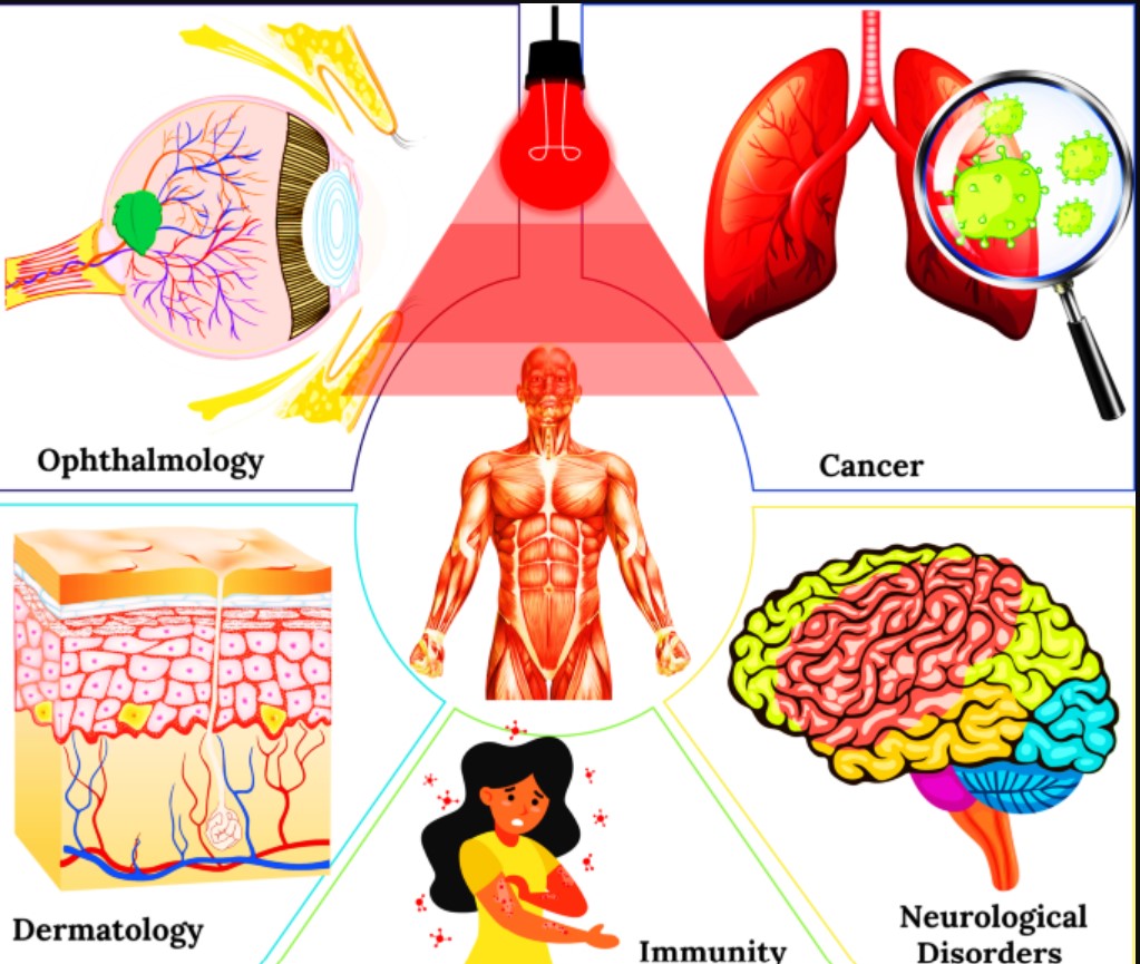 The Photobiomodulation Wave: How Light Therapy Crossed from Lab to Lifestyle The Photobiomodulation Wave: How Light Therapy Crossed from Lab to Lifestyle