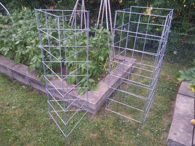 Why Flimsy Tomato Cages Fail and What Actually Works Why Flimsy Tomato Cages Fail and What Actually Works